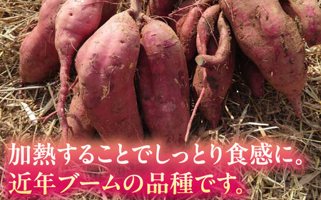 さつまいも 紅はるか 約5kg【株式会社 アグリファーム未来】[ZDN002]
