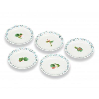 ふるさと納税 能美市 九谷焼　4.5号皿揃　山帰来