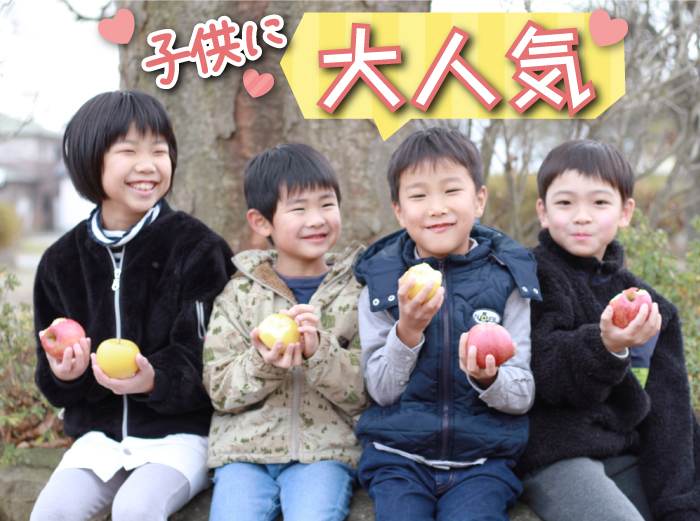 フルーツ大国！ 岩手県産 家庭用 りんご サンふじ 5kg 【谷地農園】 林檎 リンゴ アップル さんふじ サンフジ 果物 くだもの フルーツ 贈り物 仕送り 自宅用 冬 旬 新鮮 季節 国産 5キロ