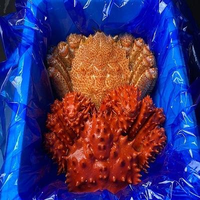ふるさと納税 根室市 【年内配送可○】★毛がに・花咲がにセット A-21002 |  | 01