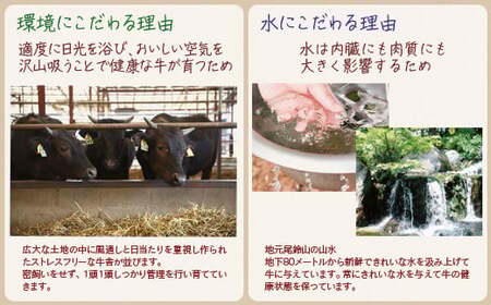 黒毛和牛　希少部位を含むおまかせ特選焼肉500g　有田牧場　国産牛肉＜1.6-35＞