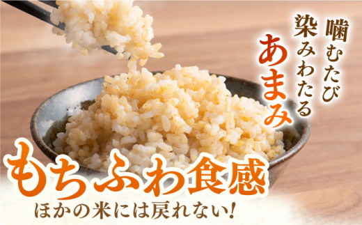 【令和7年産】ももちゃんちのお米 夢しずく ( 一等米 ) 玄米 10kg 【ももさき農産】 [HCG007]