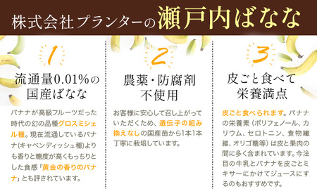 フローズン瀬戸内ばなな 100g ×5 バナナ