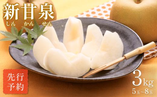【先行予約】中野農園 梨 ”新甘泉” 3kg箱｜鳥取 岩美 梨 なし ナシ  赤梨 果物 フルーツ【41020】