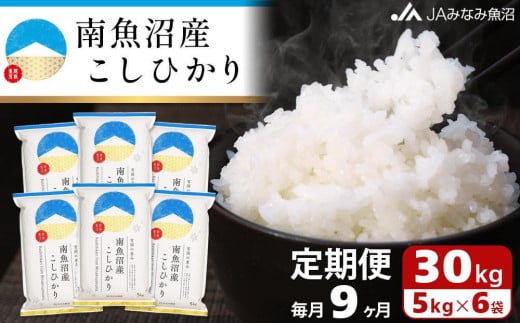 【JAみなみ魚沼定期便】南魚沼産こしひかり（30kg×全9回）