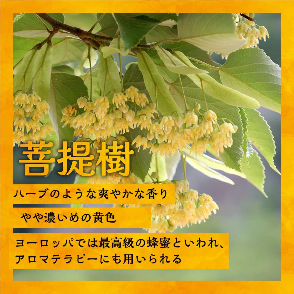 国産純粋完熟はちみつ3種セット(れんげ･菩提樹･黄金草)ご家庭用計1.5kg[16-1158]