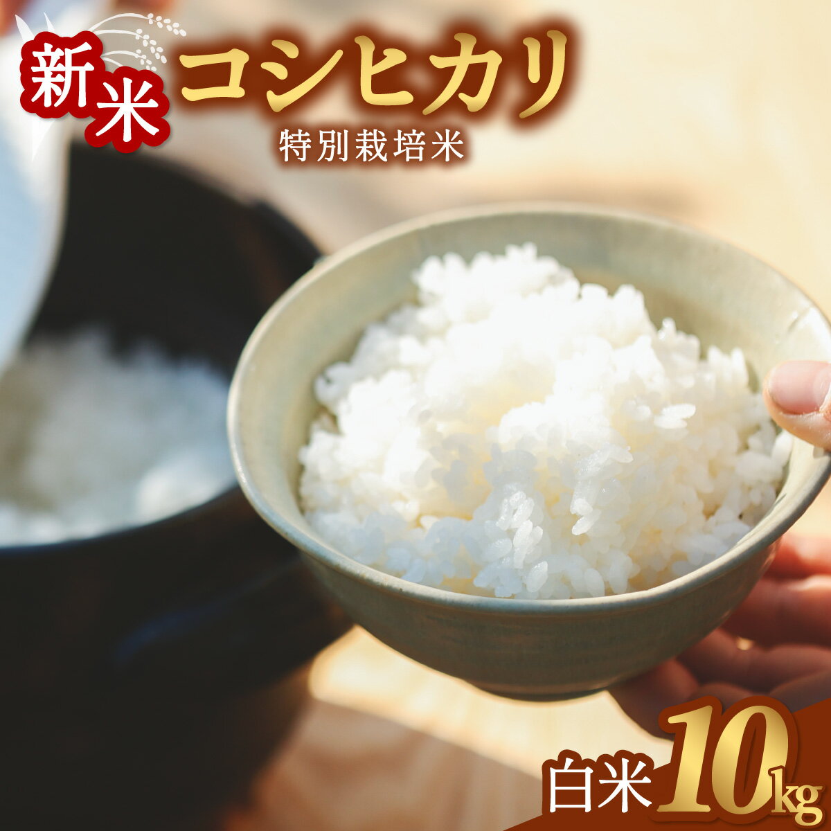 【ふるさと納税】コシヒカリ 特別栽培米 白米 5kg