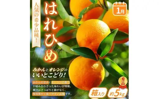 【定期便4回】旬の フルーツ定期便 / はれひめ みかん いちご まりひめ 桃 秀品 柿 種無し フルーツ 定期便 ふるーつ定期便 フルーツ 詰め合わせ 果物定期便 春フルーツ 夏フルーツ 秋フルーツ