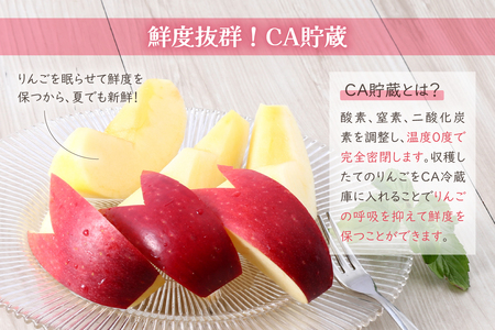 【2025年7月上旬発送】りんご有袋ふじ5kg特選(スマートフレッシュTM貯蔵またはCA貯蔵・クール便)