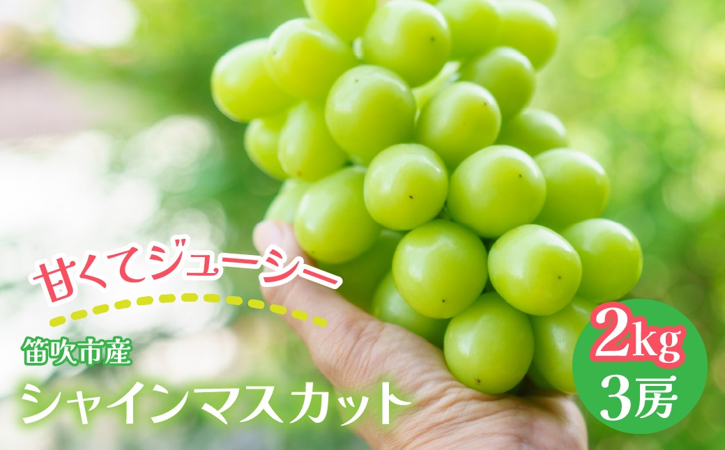 
                  【2026年発送★先行予約】笛吹市産 シャインマスカット 2kg以上　（3房）　石倉ファーム 241-003 ｜ふるさと納税 ぶどう シャインマスカット  笛吹市 国産 人気 期間限定 果物 フルーツ 旬 山梨県 送料無料
                
