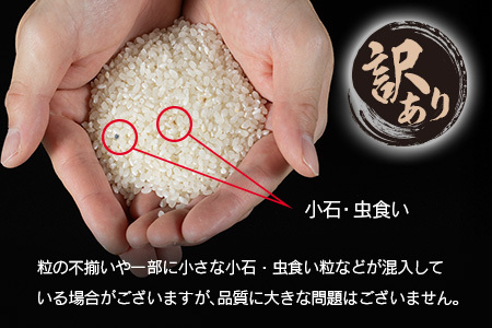 ＜訳あり＞【令和7年産 新米】コシヒカリ 5kg 無洗米 宮崎県産 新富町産 早期米 早場米 夏の新米 乾式【B679】