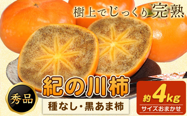 
                  【先行予約】秀品 柿 紀の川柿 約4kg (種なし・黒あま柿)  サイズおまかせ 紀の川市厳選館 《2026年10月上旬-11月上旬出荷》和歌山県 紀の川市 柿 カキ かき ジューシー フルーツ
                