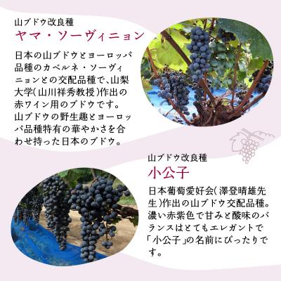 ふるさと納税 大野市 Andosols赤ワイン&恐竜ワインセット |  | 01