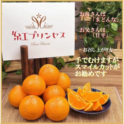 柑橘界のサラブレット!!「まどんな」と「甘平」を親に持つ!!　「紅プリンセス」2キロ【D39−76】【配送不可地域：離島】【1621674】