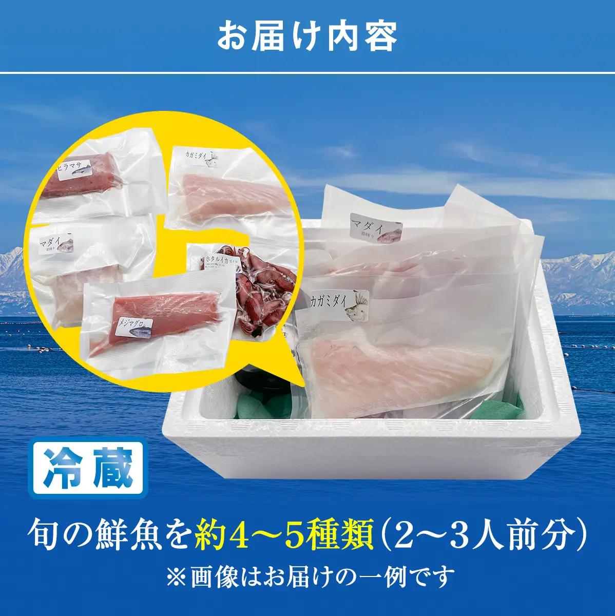 【配送地域限定】 産地直送の朝どれ鮮魚お刺身セット 2〜３人前 土日お届け