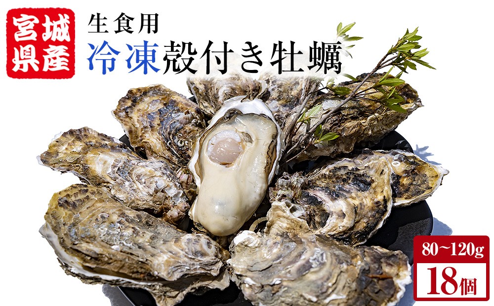 
                  牡蠣 殻付き 生食 可 18個（6個入×3袋） 宮城県産 冷凍 小分け カキ かき オイスター 魚介類 海産物 海鮮 生牡蠣 蒸し牡蠣 生かき 厳選 濃厚 大粒 BBQ バーベキュー 浜焼き 海鮮焼き レンジ 調理 宮城 石巻 宮城県 石巻市
                