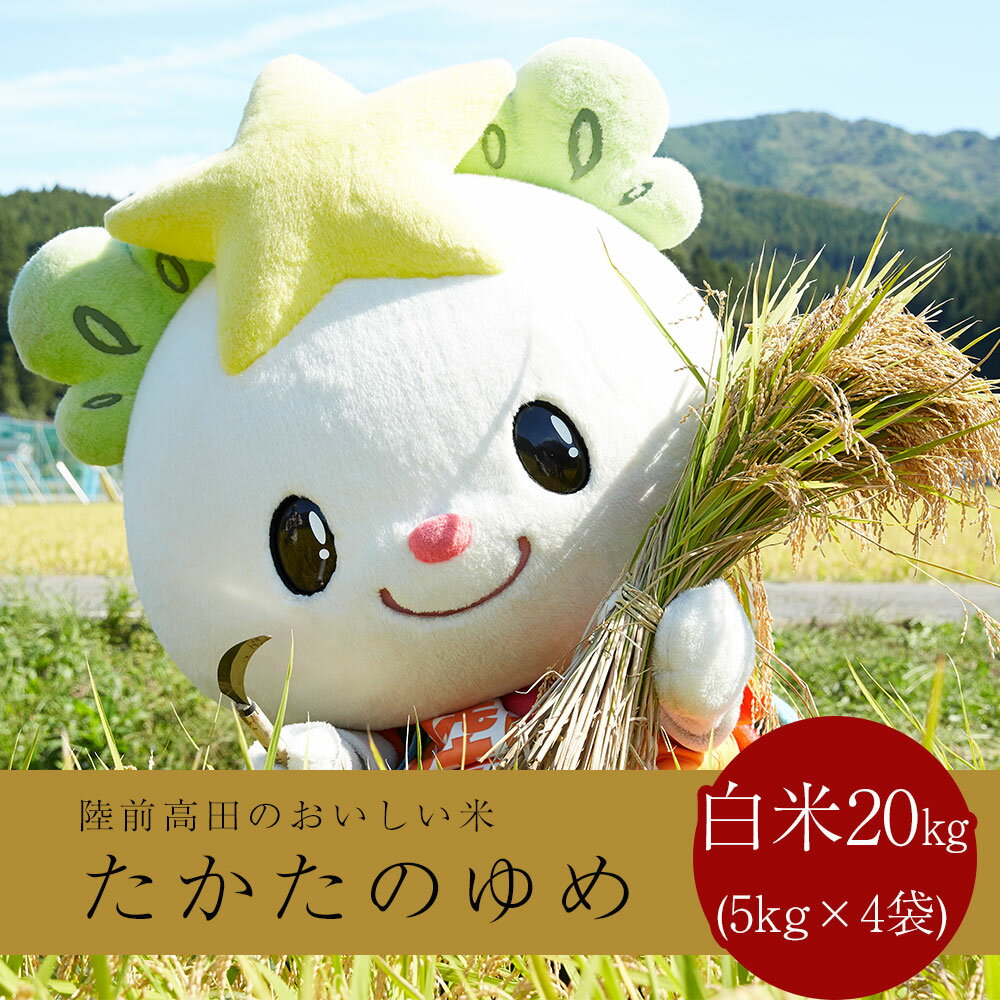 【ふるさと納税】新米 20kg (5kg×4袋) 令和7年産 たかたのゆめ 白米 [ 米 お米 地域 オリジナル ブランド ご飯 お弁当 おにぎり おむすび 備蓄 非常食 長期保存 ひとめぼれ あきたこまち 健康 人気 おすすめ ギフト 贈答品 アウトドア キャンプ 岩手 陸前高田 ]