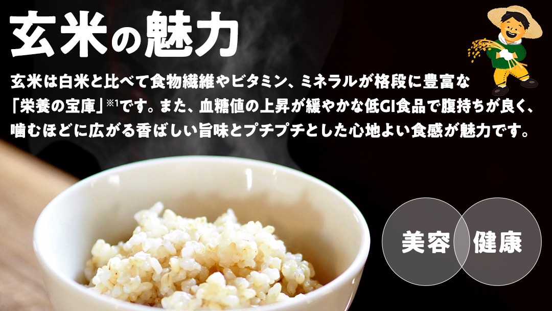 【最短2営業日出荷】 コシヒカリ 玄米 30kg 茨城県 つくばみらい市産スピード発送 お米 米 おこめ こめ コメ 30キロ こしひかり 令和7年産 大容量 玄米食 低GI