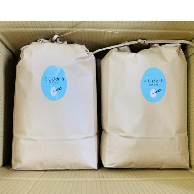 ふるさと納税 近江八幡市 令和7年産　近江米【コシヒカリ10kg】環境こだわり米 |  | 03