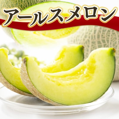 アールスメロン 1玉 約1.3kg(宇城市)【配送不可地域：離島】【1735988】