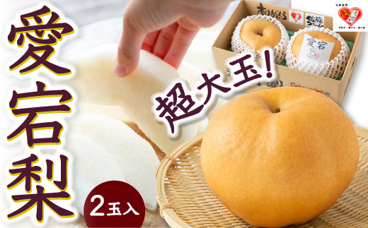 
                  【先行予約】佐藤ファーム 愛宕梨 超大玉 2玉入 2026年11月上旬 出荷予定
                