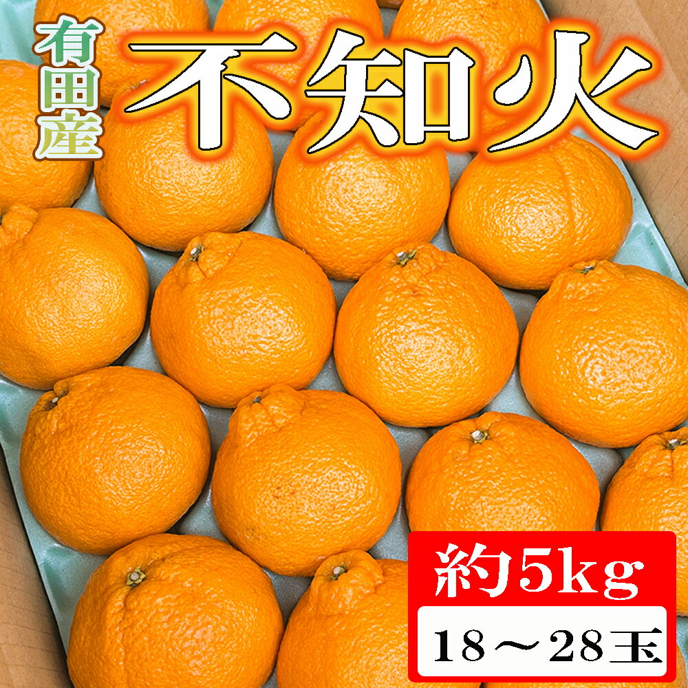 【ふるさと納税】【先行予約】【濃厚】有田の不知火 約5kg（18玉～28玉おまかせ）＜2027年2月下旬～2027年3月下旬頃に順次発送＞