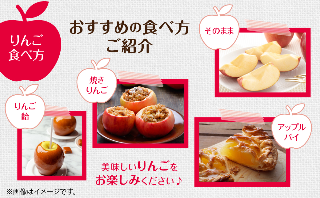 【先行予約】北海道壮瞥町産りんご「サンふじ」約5kg(12～18玉)<2026年12月上旬にお届け> SBTF007
