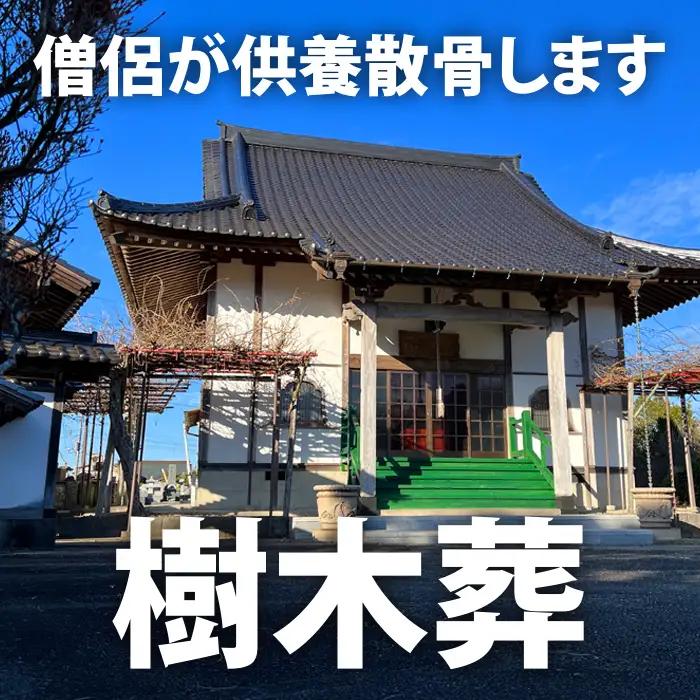 樹木葬散骨 SK55003