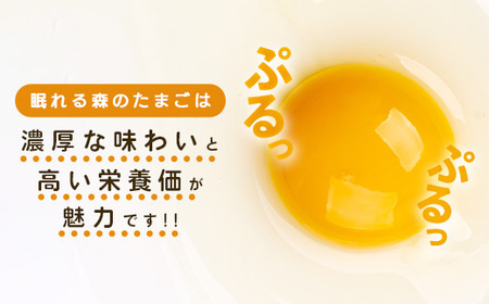 【6か月連続お届け】眠れる森のたまご　朝採れ卵60個   たまご タマゴ 卵 鶏卵 濃厚 こだわり 新鮮　【04301-0795】