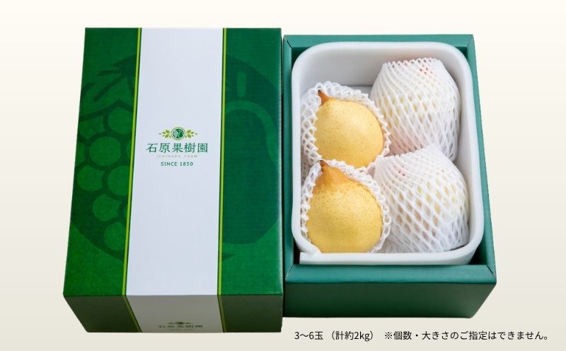 梨 ヤーリー梨 鴨梨 先行予約 3～6玉 2kg 贈答箱 赤秀 岡山県産 | ヤーリー梨 鴨梨 梨 特選品 上級品 贈り物 御歳暮 果物 くだもの フルーツ 石原果樹園 【ishk015-01】