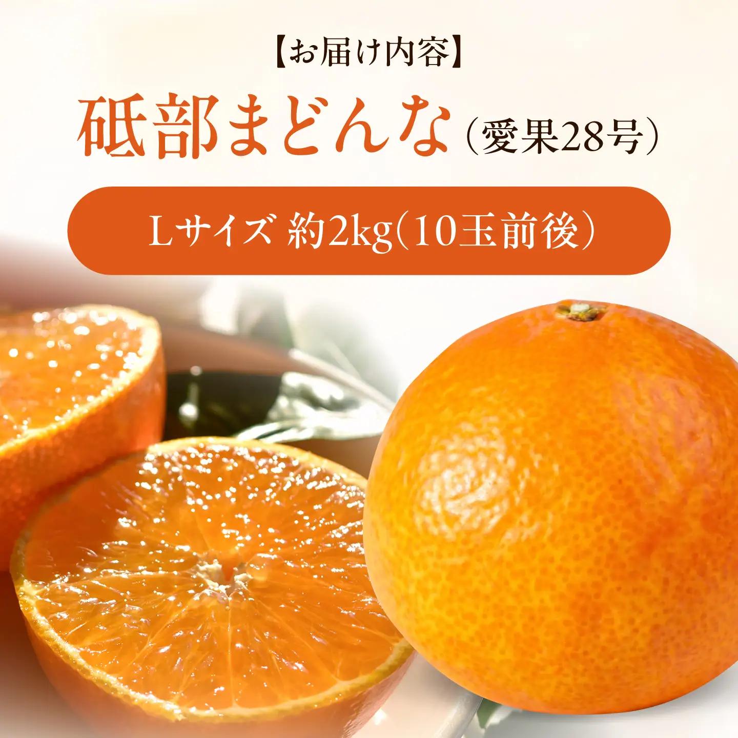みかん 紅まどんな 約2kg【11月中旬から12月下旬まで順次発送】/ フルーツ 果物 柑橘 蜜柑 ミカン オレンジ まどんな マドンナ 紅マドンナ 砥部まどんな 愛果28号 約2kg 甘い 先行予約