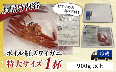 【先行予約】 タグ付き極上 ボイル紅ズワイガニ 【26年10月以降順次発送】 カネツル砂子商店 | 蟹 カニ ズワイ