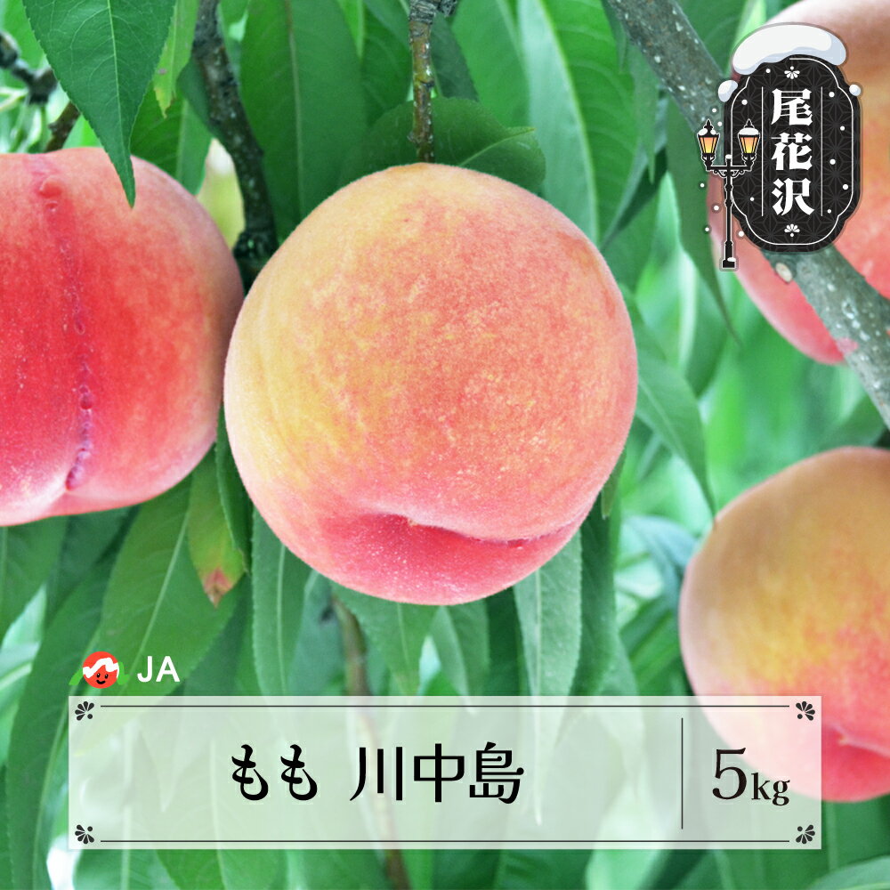 【ふるさと納税】先行予約 もも 桃 川中島 約5kg 秀 20玉以上 8月中旬~9月上旬頃発送 令和8年産 2026年産 果物 送料無料 ja-moknx5-b※沖縄・離島への配送不可
