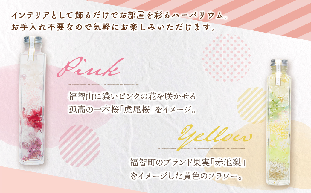 ハーバリウム「福智の煌」(ピンク×黄)2本セット