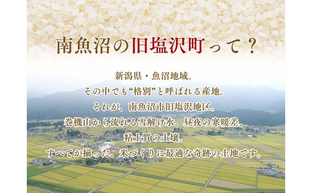 【令和7年度産】【定期便】南魚沼「旧塩沢」限定 コシヒカリ【5kg×6回】白米