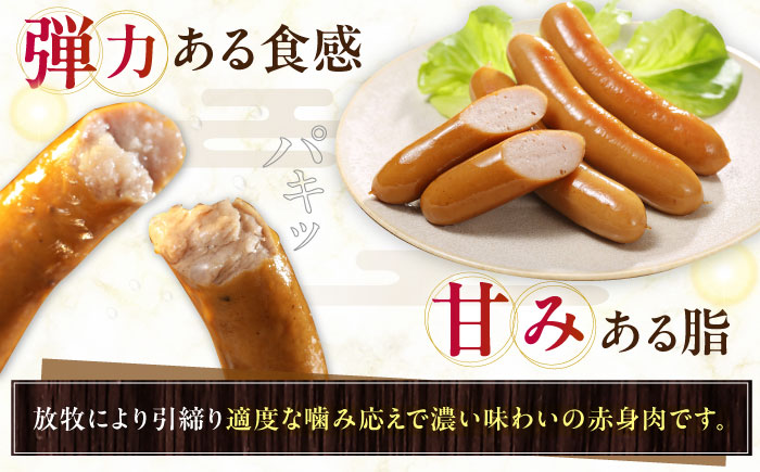 【全12回定期便】【結着剤・発色剤・保存料不使用】 放牧豚 ソーセージ11種 ボリュームセット《厚真町》【ファーマーズファクトリー株式会社】 ソーセージ ウインナー チョリソー 粗挽き 冷凍配送 セッ
