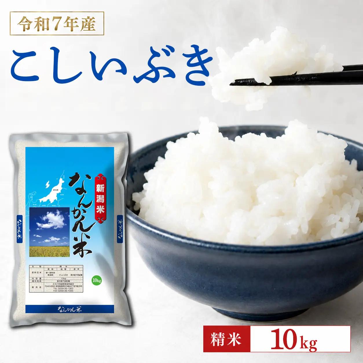 米 令和7年産 新潟産なんかん米こしいぶき 精米10kg