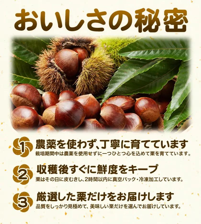 菊池水源産 さのまろん 冷凍剥き栗 内容量 約400g 農事組合法人菊池佐野《30日以内に出荷予定(土日祝除く)》熊本県 菊池市 栗 むき栗 筑波 冷凍 熊本県産 九州産 国産 送料無料