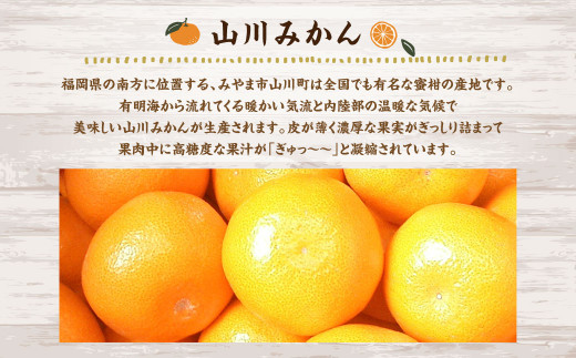 A158 福岡県山川産 塩みかん 10kg 【2024年11月上旬～12月上旬発送予定】 蜜柑 花藻塩_イメージ2