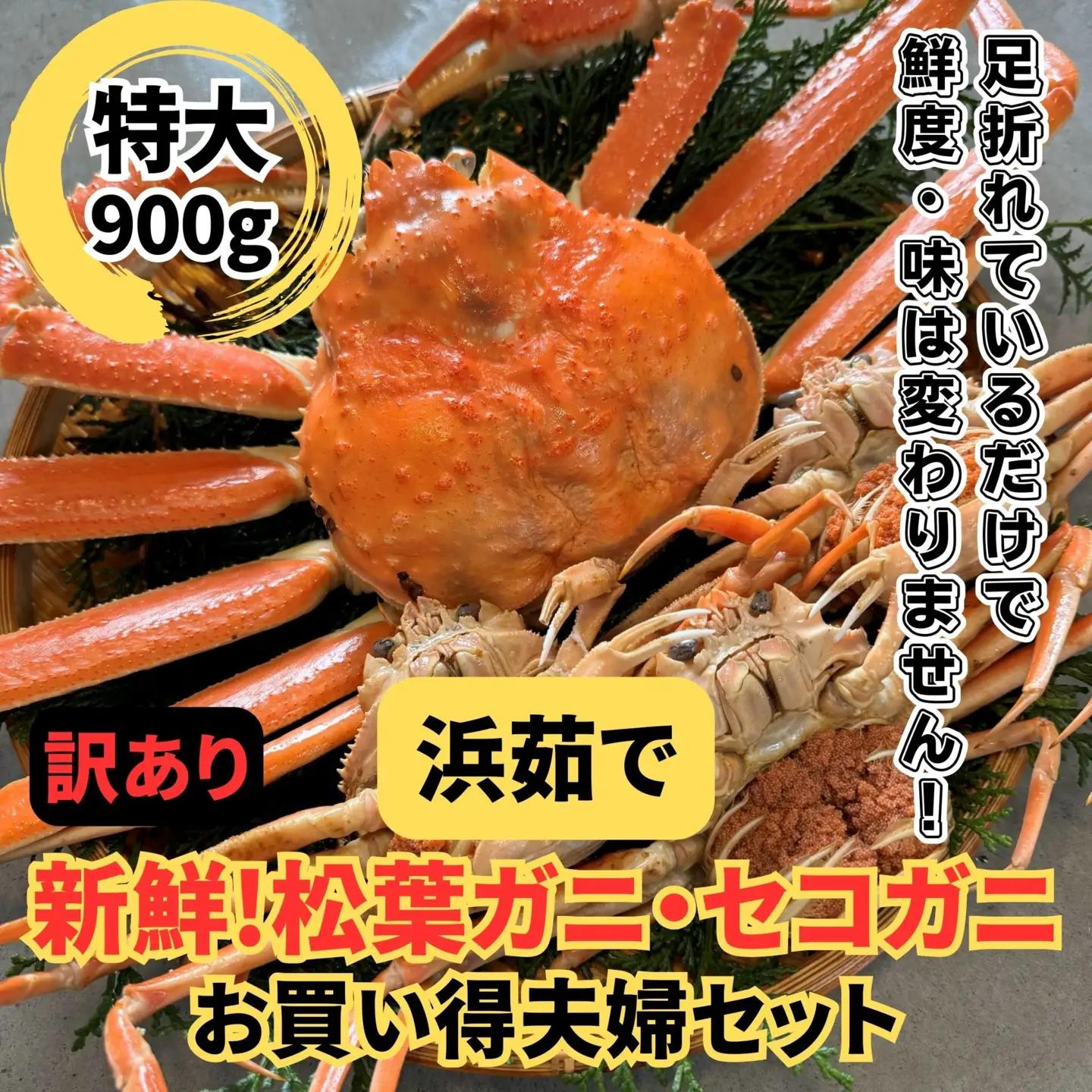 ＜訳あり＞浜茹で！松葉ガニ・セコガニセット｜鳥取網代港 岩美 松葉がに ずわいがに かに ※お届けは2026年11月中旬～【さかなや新鮮組】【22100】