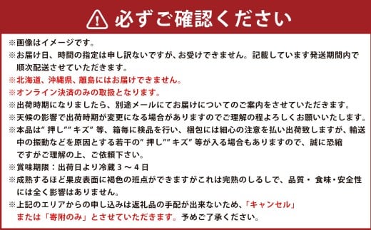 シャインマスカット晴王 1房（680g以上） 加温栽培【2026年7月上旬～8月上旬まで順次発送予定】【シャインマスカット シャイン マスカット 人気フルーツ 岡山フルーツ おすすめフルーツ 岡山県 
