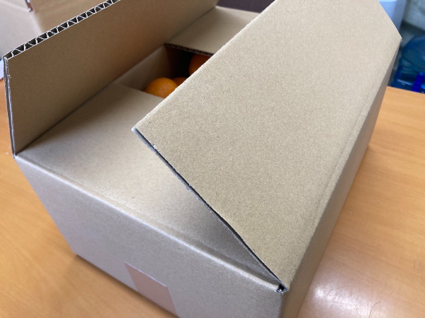 訳あり 温州みかん 5kg ご家庭用 人気 数量限定 先行予約 愛媛 みかん 柑橘 【2025年11月下旬以降順次発送】｜B149