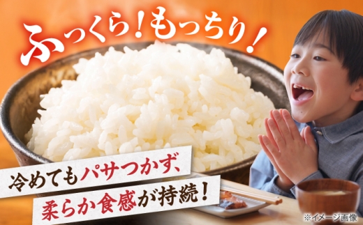 【全3回定期便】コシヒカリ 5kg 滋賀県長浜市/狩野農園 [AQDK005]