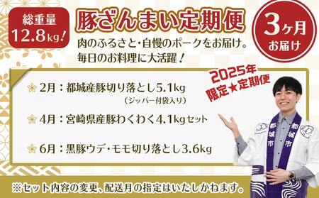 【年末企画】総重量12.7kg超え!豚ざんまい定期便(3ヶ月)2月・4月・6月お届け_T49-MY01_(都城市) 宮崎県産豚 わくわく 切り落とし 炒め物 とんかつ バラ しゃぶしゃぶ 焼肉 黒豚