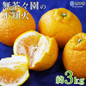 無茶々園の不知火　５ｋｇ