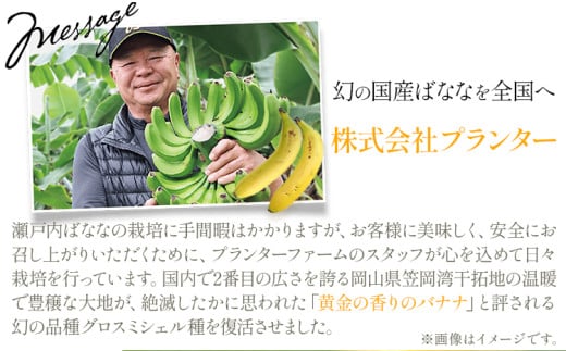 MUSA 体おもいのデザート スプレッド 2個 (カカオ＋まっちゃ)  株式会社プランター 《30日以内に出荷予定(土日祝除く)》 ? 抹茶 カカオ バナナ お菓子 パン