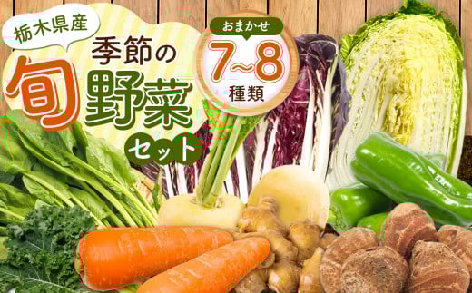 季節の旬野菜おまかせセット 7～8品目 | 野菜 お野菜 葉物野菜 根菜 農薬不使用 化学肥料不使用 珍しい 栃木県 下野市