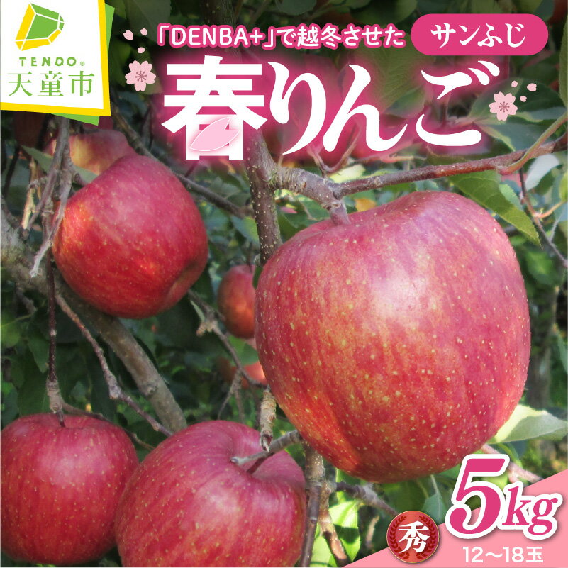 【ふるさと納税】 鮮度保持 製法 の 春 りんご 5kg 秀 サンふじ アップル 果物 フルーツ チルド 熟成 ご家庭用 贈答 ギフト プレゼント おすそ分け お取り寄せ 期間限定 山形 産地直送 送料無料 【 山形県 天童市 】