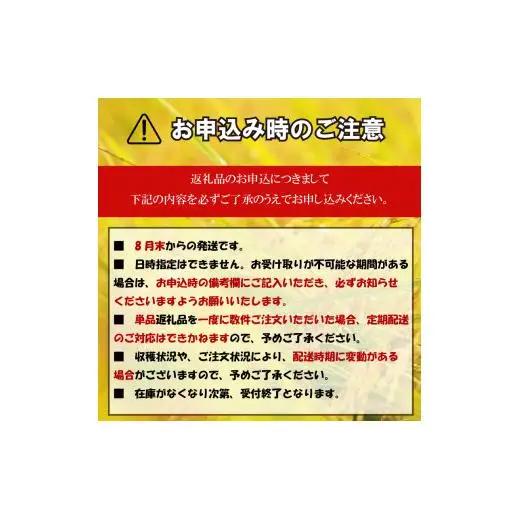 数量限定 新米 コシヒカリ 3kg 令和6年 白米 精米 米 こしひかり ブランド米 国産 高知県 須崎 しんじょう君 産地直送 国産新米