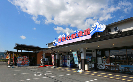 日本海産レンコ鯛の煮付け 2匹 タイ 煮つけ 日本海産レンコ鯛の煮付け